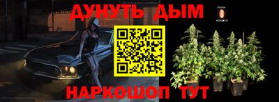 прущие грибы Ливны