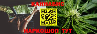 прущие грибы Ливны