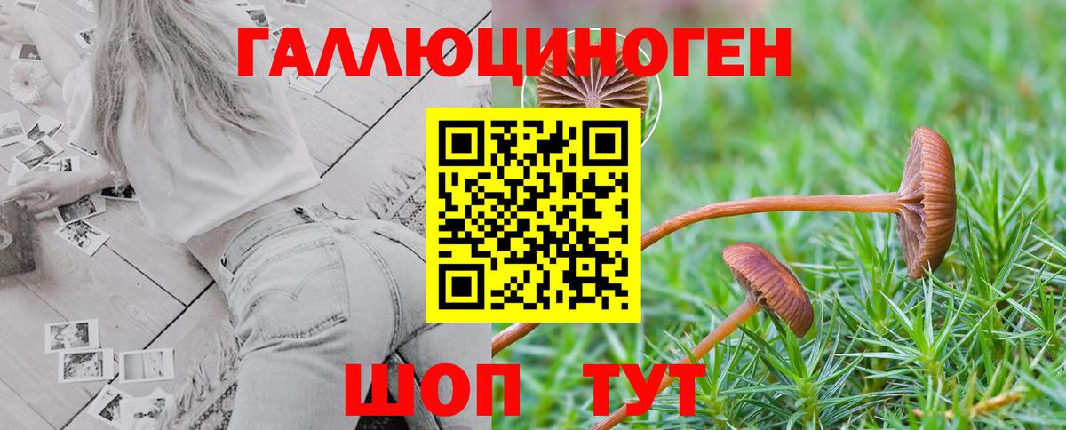 Воскресенск  Псилоцибиновые грибы Psilocybine cubensis  закладки  Вход с VPN  Галлюциногенные грибы Magic Shrooms 